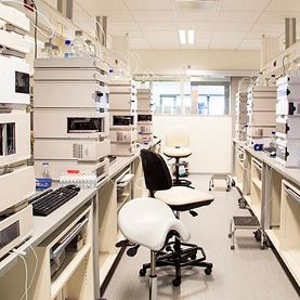 Laboratory Analysis