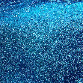 Ozone Vent Gas Reuse